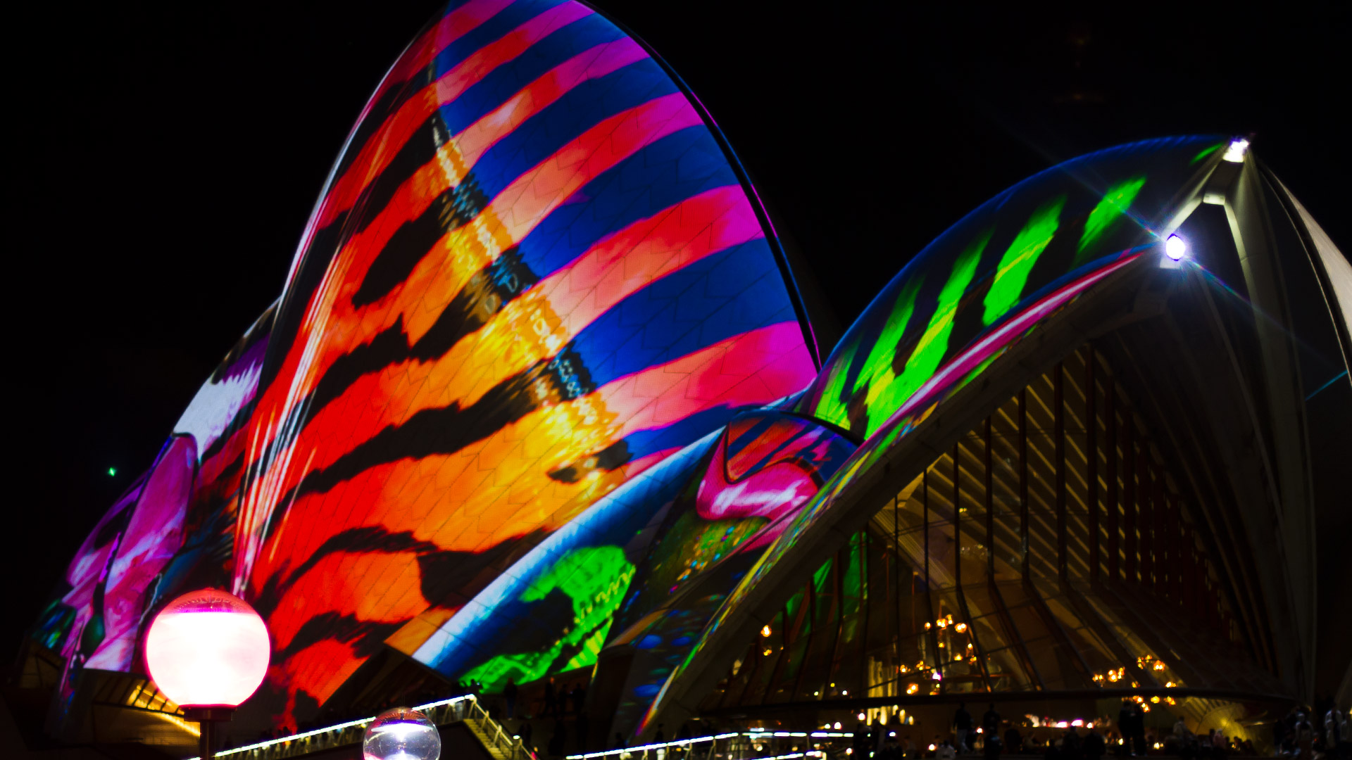 Sydney Opera House Shells Close Up