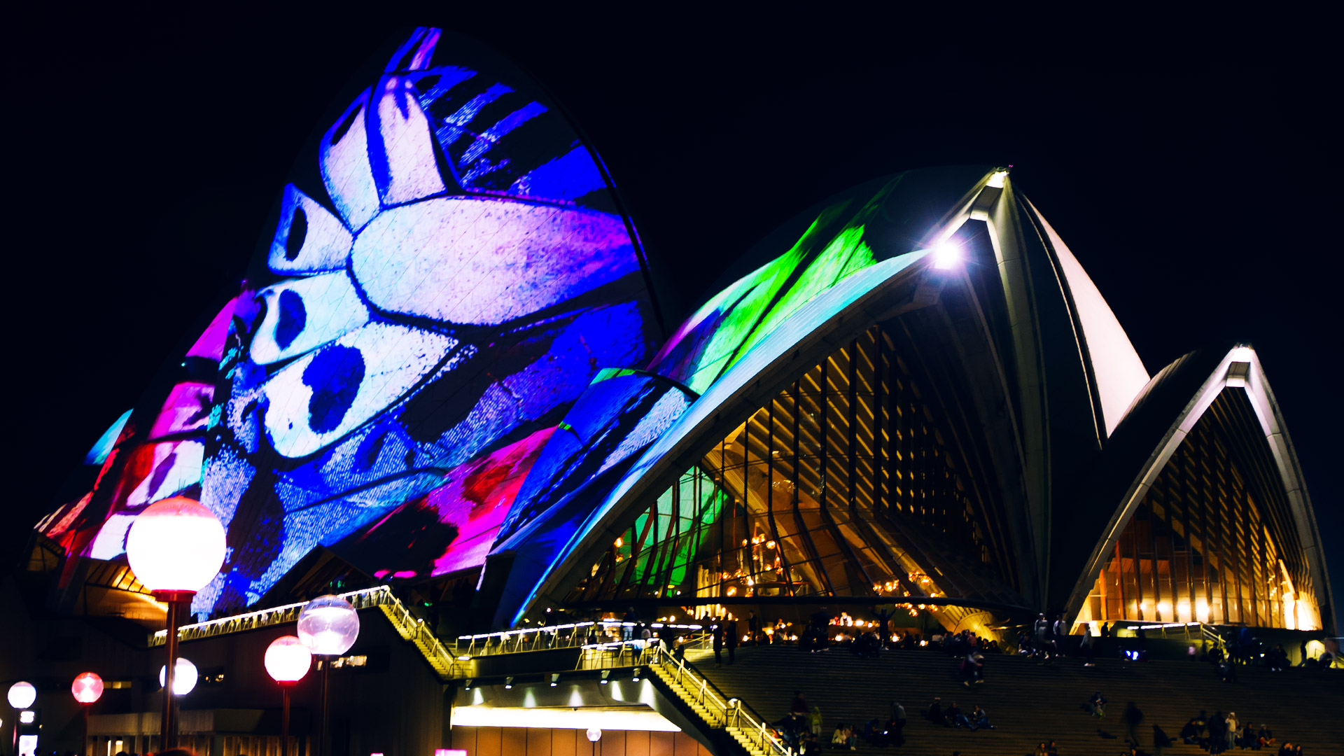 Sydney Opera House Butterfly