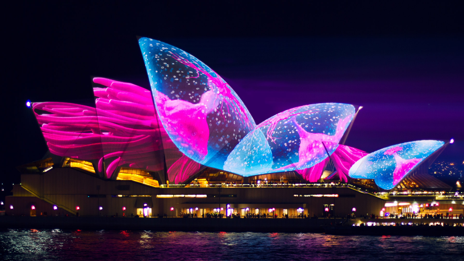 Sydney Opera House Lighting The Sails Luxx