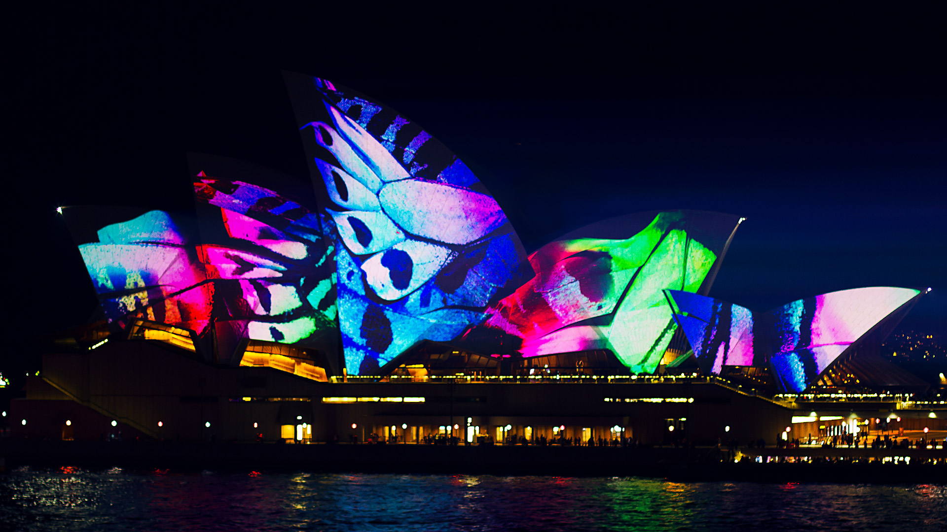 Sydney Opera House Butterfly